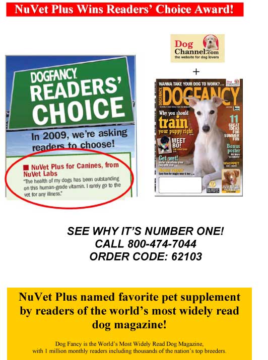 An Ounce of Pet Poisoning Prevention is Worth a Pound of Cure